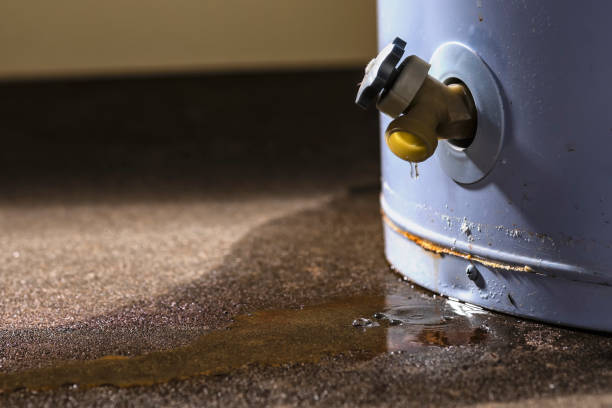 Water damage restoration