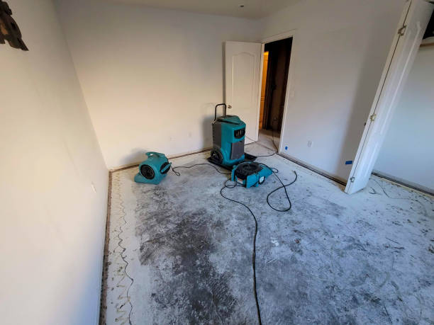 Best Water damage restoration experts  in Bridgeport, MI