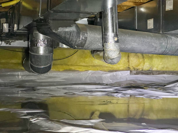 Best Sewage cleanup and water damage restoration  in Bridgeport, MI