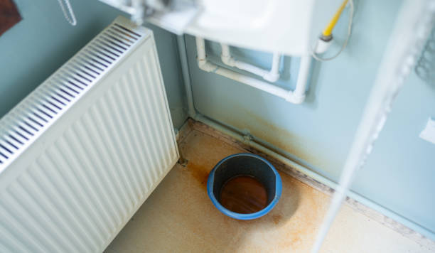 Best Commercial water damage restoration  in Bridgeport, MI