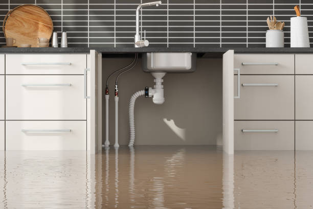 Best Flood damage cleanup  in Bridgeport, MI
