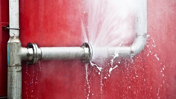 Best Professional water damage repair  in Bridgeport, MI